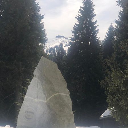 Apartmany U Vleku - Podkrovni Apartman Karlova Studánka المظهر الخارجي الصورة