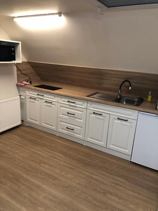 Apartmany U Vleku - Podkrovni Apartman Karlova Studánka المظهر الخارجي الصورة