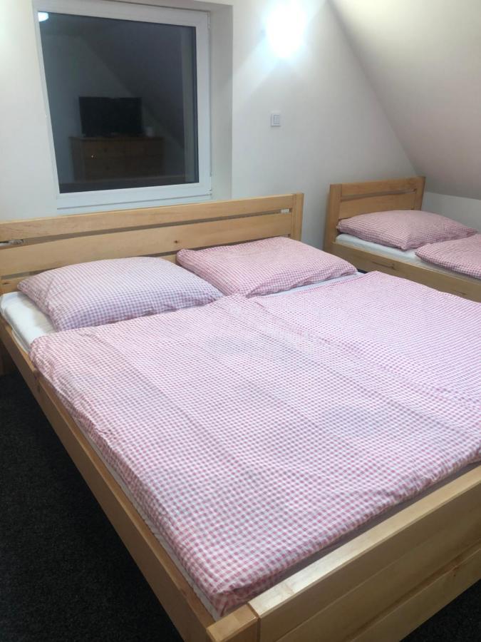Apartmany U Vleku - Podkrovni Apartman Karlova Studánka المظهر الخارجي الصورة